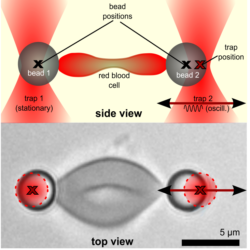 Micro Rheology Of Cells And Soft Matter With The Nano Tracker