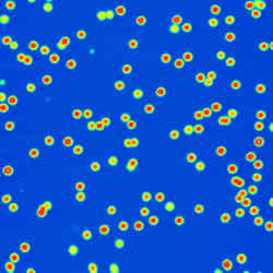 Polymer Nanoparticles