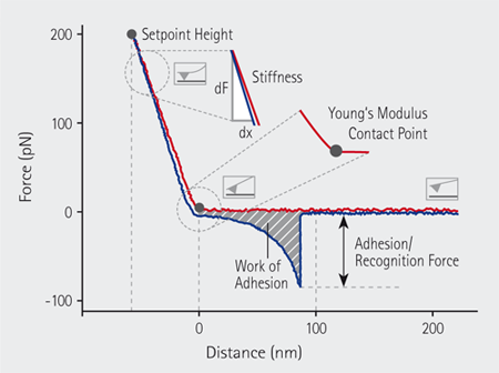In QI™ mode a complete force-distance curve is recorded at each pixel.